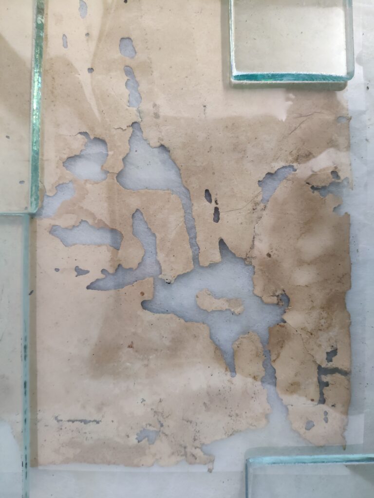 Συντήρηση Χαρτιού