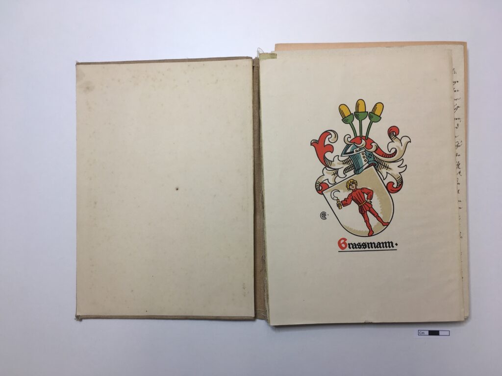 Βιβλίο πριν τη συντήρηση